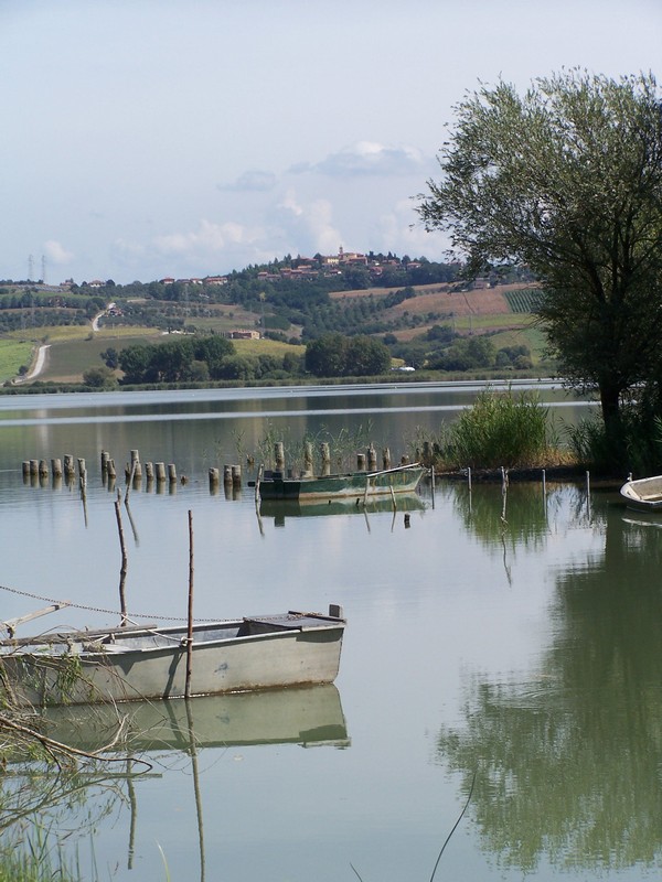 Agriturismo Poggio del Papa - Castiglione del lago - Perugia